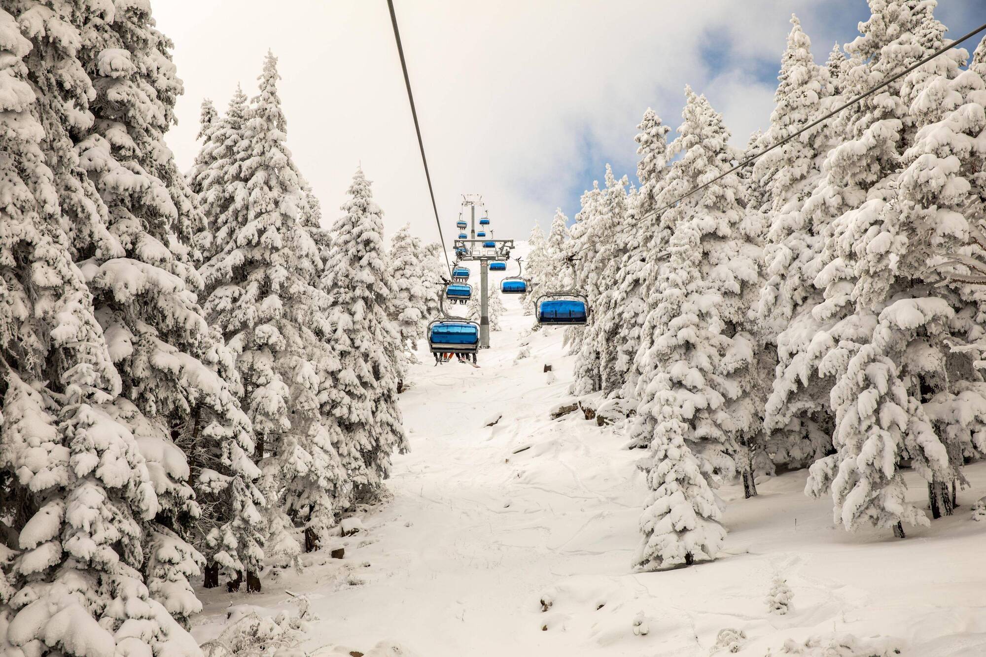Dorukkaya Ski & Mountain Resort Μπολού Εξωτερικό φωτογραφία